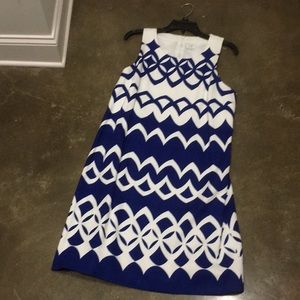 Blue and white dress